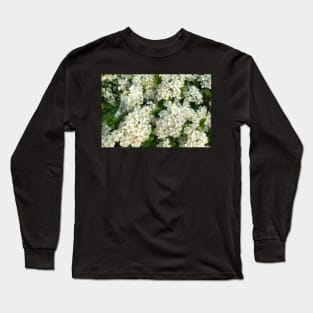 May Blossom in Spring Sunshine Long Sleeve T-Shirt